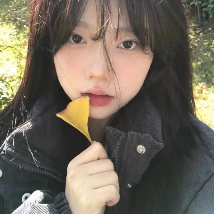 非洲城的后裔